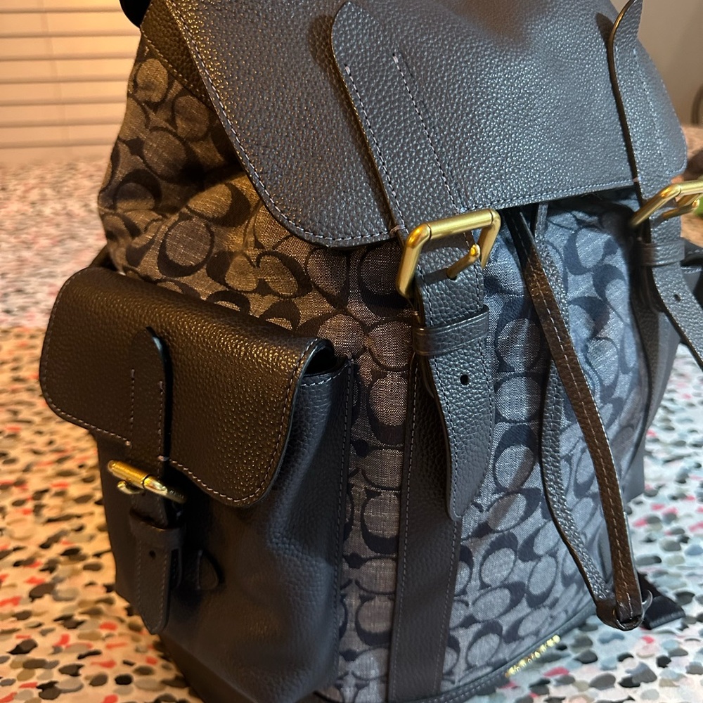 Coach Hudson Backpack